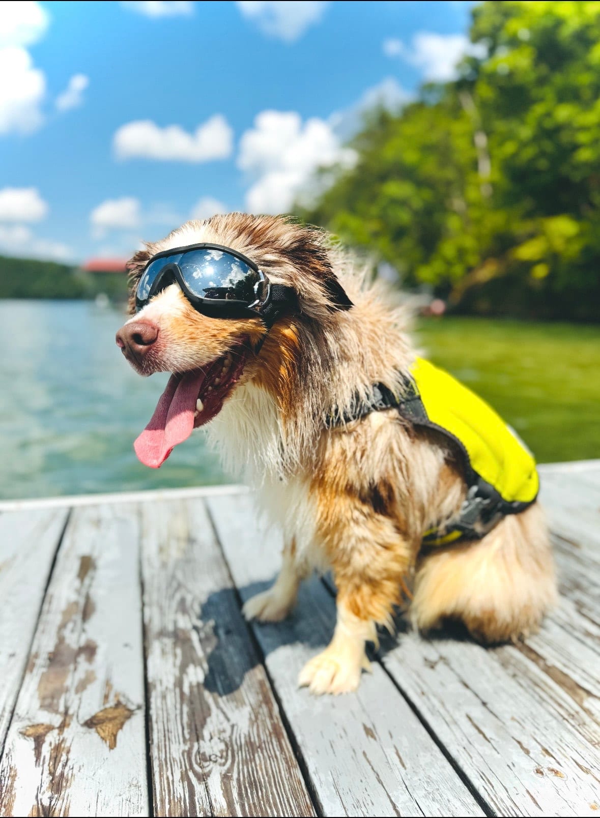 Spur wearing water goggles and a life jacket beside a lake