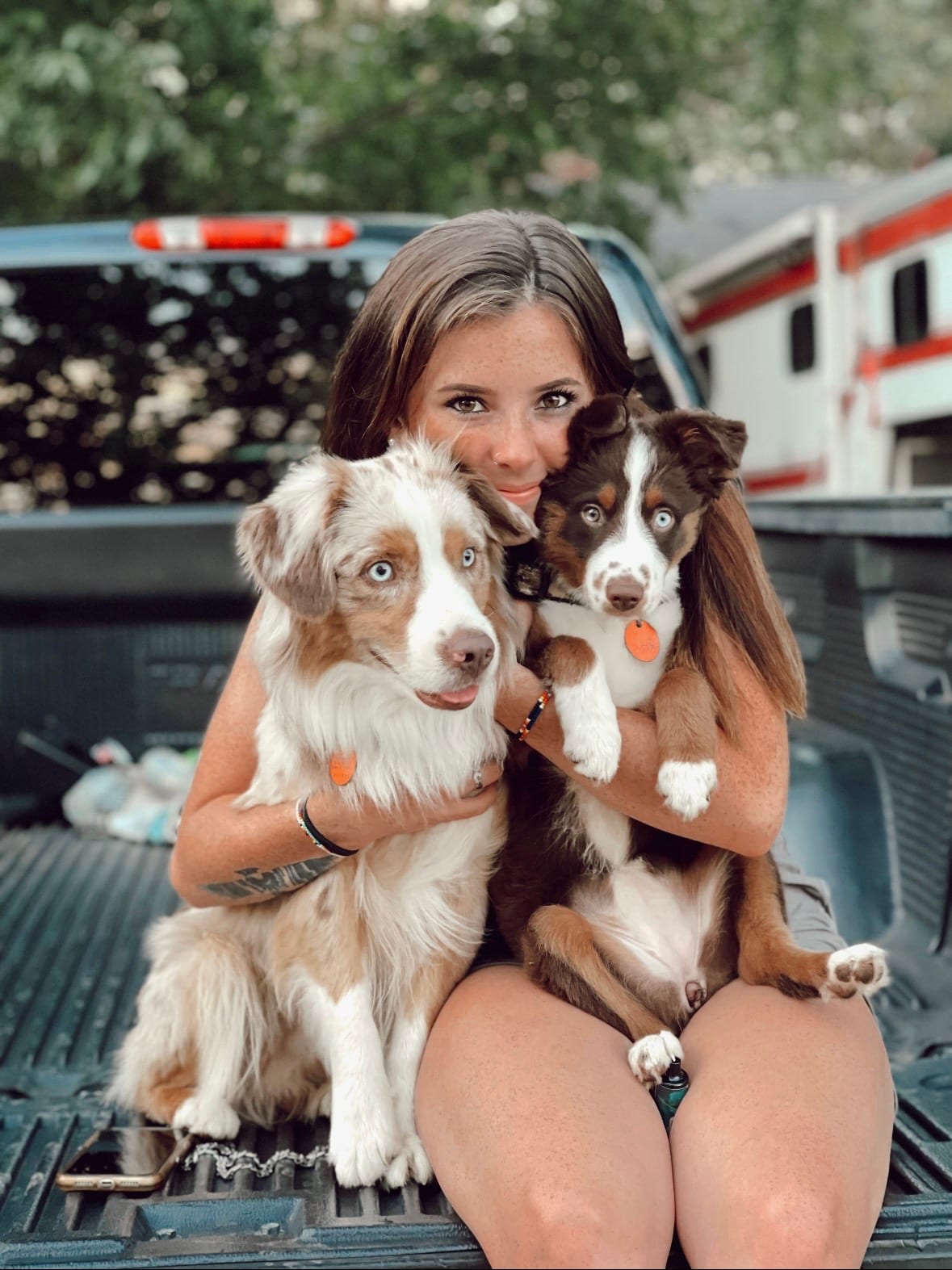 The breeder sitting with two Miniature Australian Shepherds in the bed of a truck